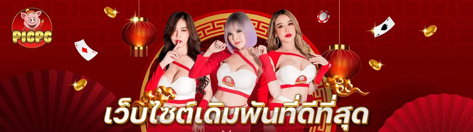 pigpg-topbanner